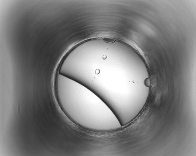 X0000096681091200802051025