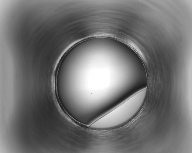 X0000096681092200802051025