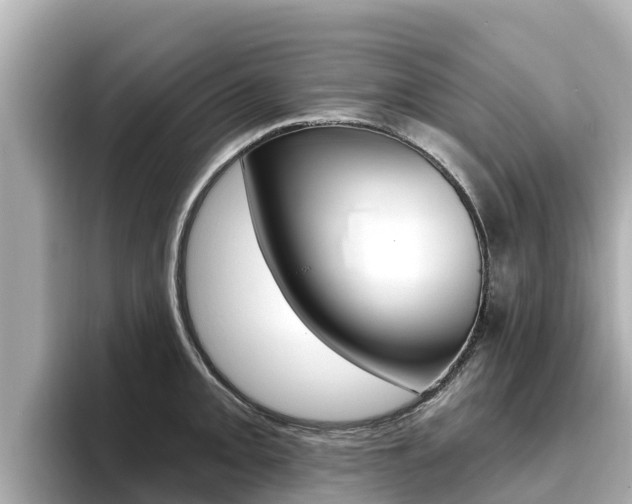 X0000096681093200802051025