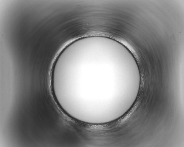 X0000096681094200802051025