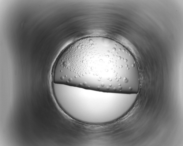 X0000096681095200802051025