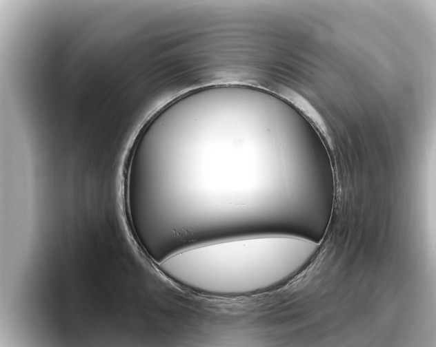 X0000096681096200802051025