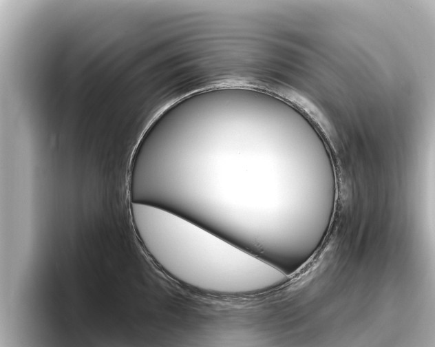 X0000096681097200802051025