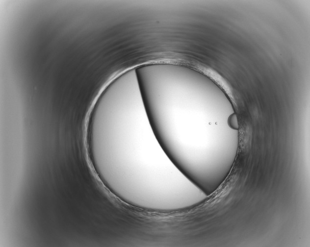X0000096681099200802051025