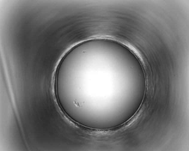 X0000096681102200802051025