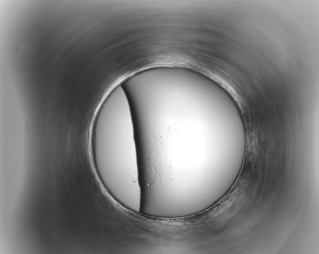 X0000096681103200802051025