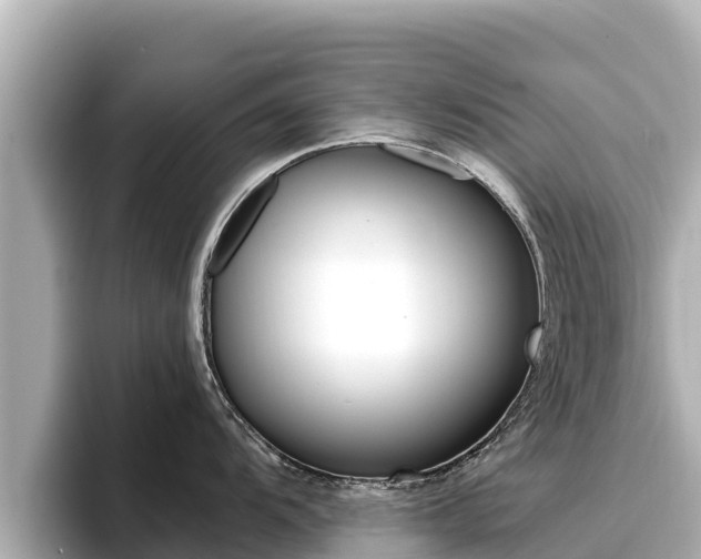 X0000096681104200802051025