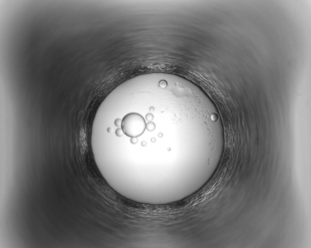 X0000096681106200802051024
