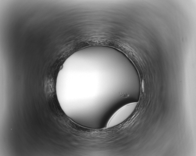 X0000096681107200802051024