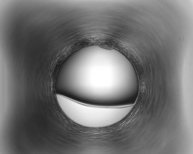 X0000096681108200802051024