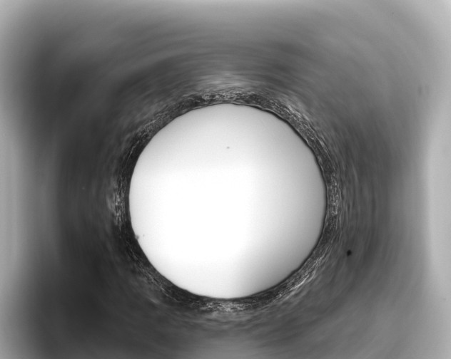 X0000096681109200802051024