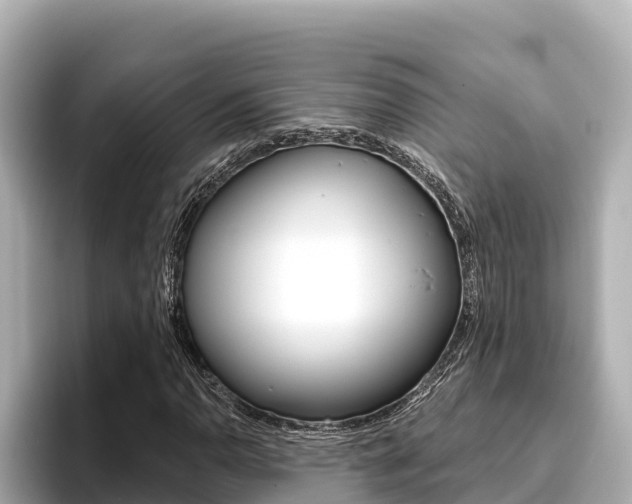 X0000096681110200802051024