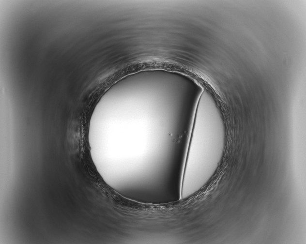 X0000096681111200802051024