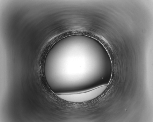 X0000096681112200802051024