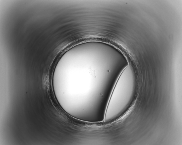 X0000096681113200802051024