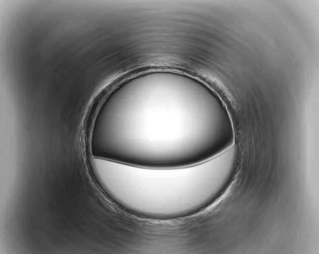 X0000096681114200802051024