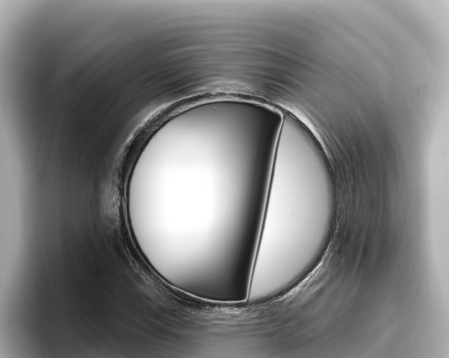 X0000096681115200802051024