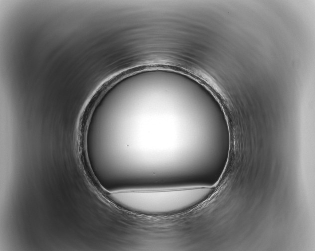 X0000096681116200802051024