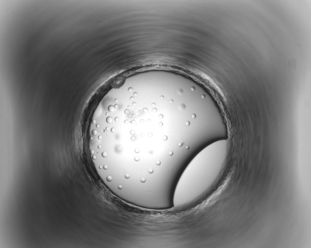 X0000096681117200802051024