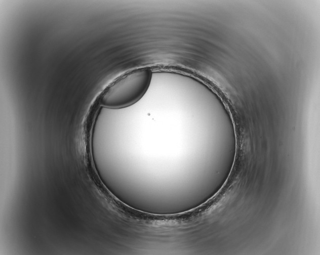 X0000096681118200802051024