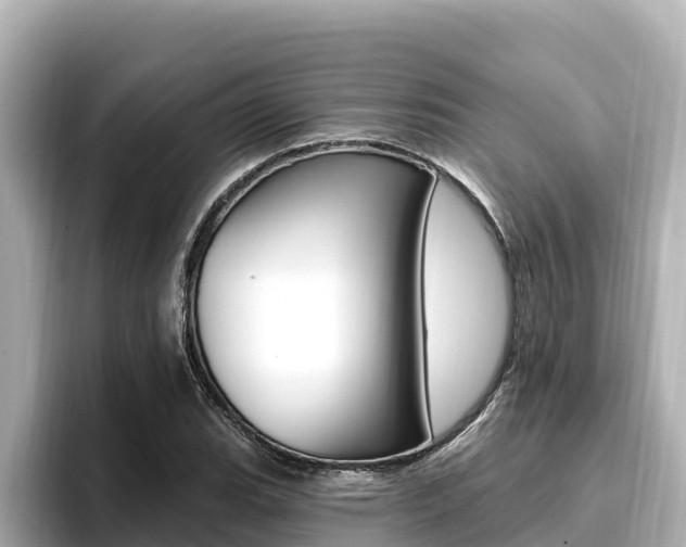 X0000096681119200802051024
