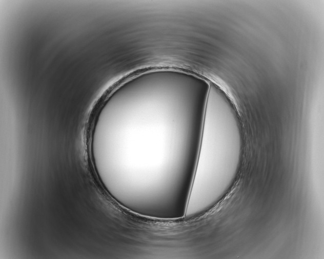 X0000096681120200802051024