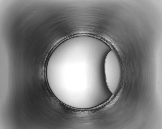 X0000096681121200802051024