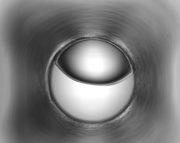 X0000096681122200802051024