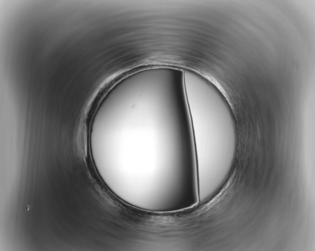 X0000096681123200802051024