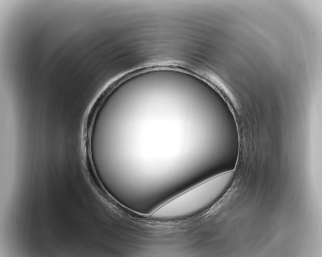 X0000096681124200802051024