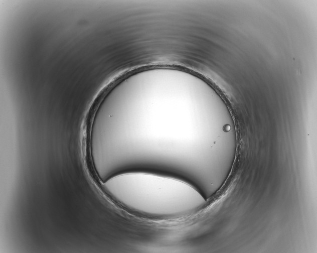 X0000096681126200802051024