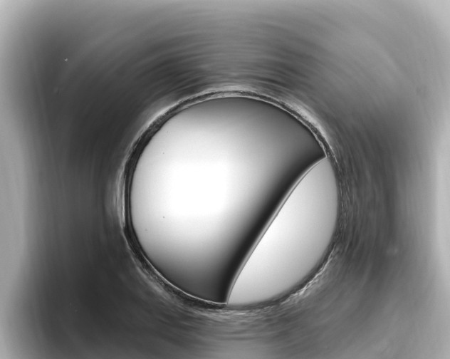 X0000096681127200802051024