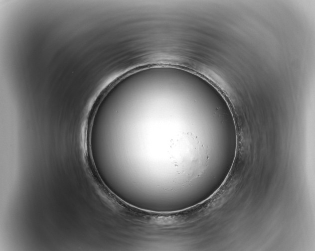 X0000096681128200802051024