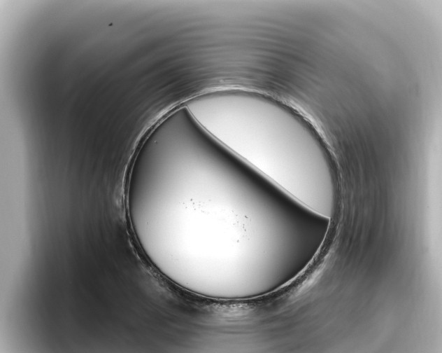 X0000096681129200802051024