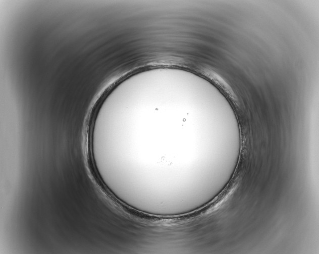 X0000096681130200802051024