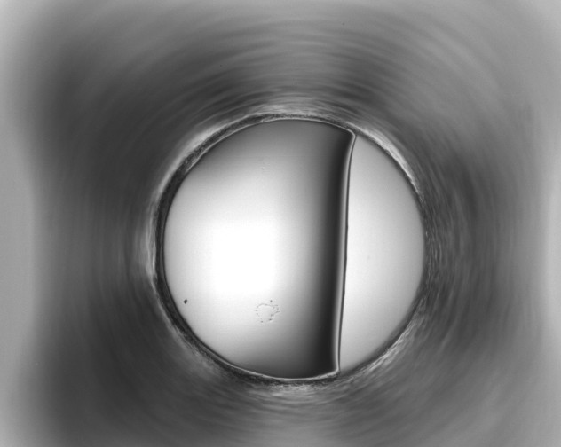 X0000096681131200802051024