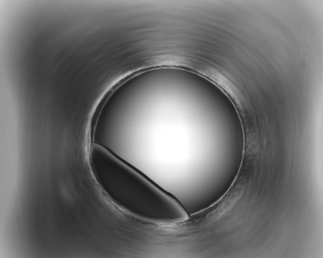X0000096681132200802051024