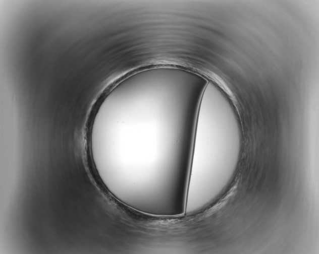 X0000096681133200802051024