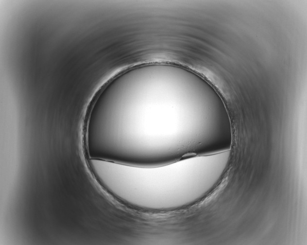 X0000096681134200802051024