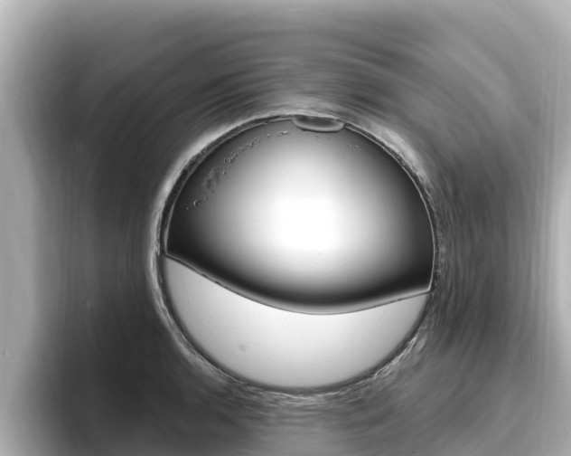 X0000096681136200802051024