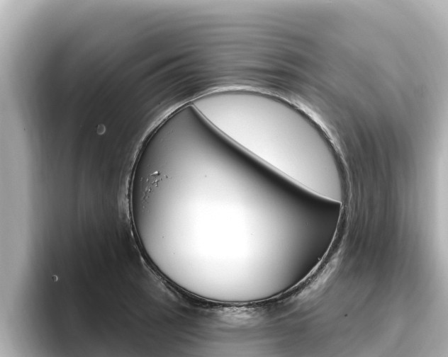 X0000096681137200802051024