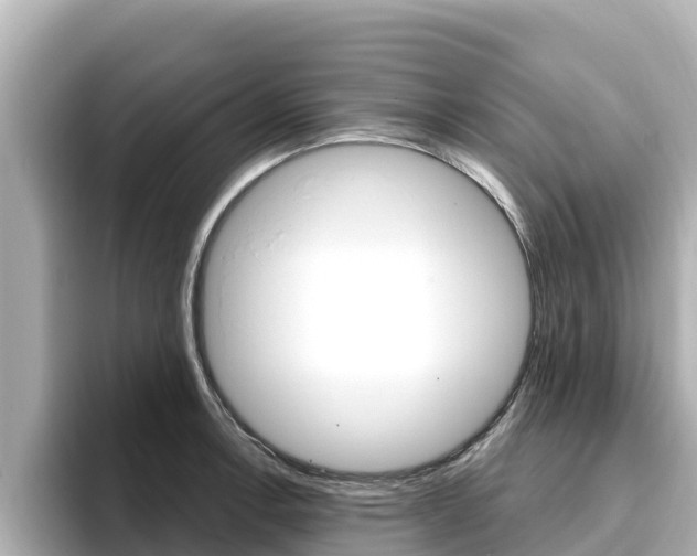X0000096681138200802051024