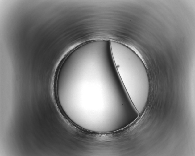 X0000096681139200802051024