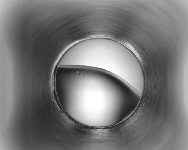 X0000096681140200802051024