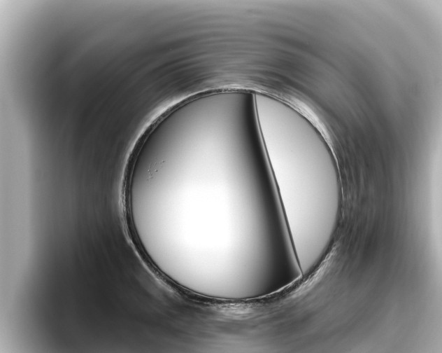 X0000096681141200802051024