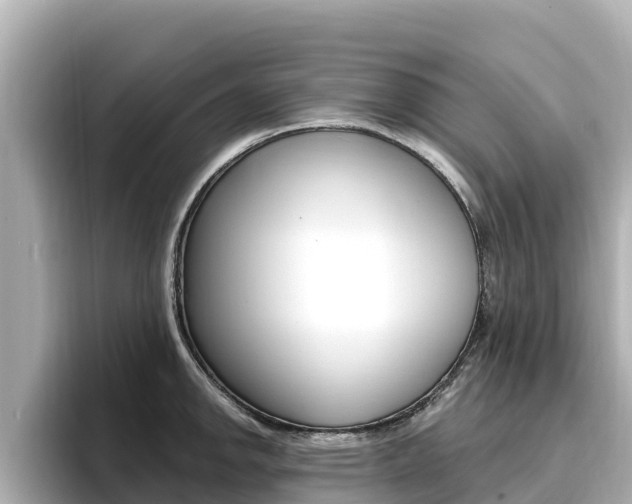 X0000096681142200802051024