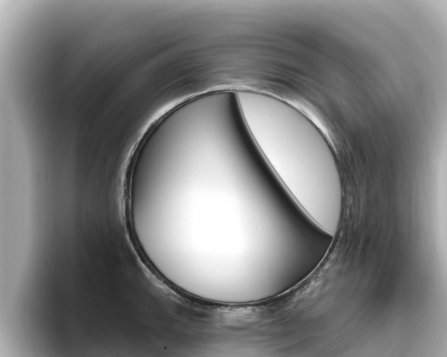 X0000096681143200802051025