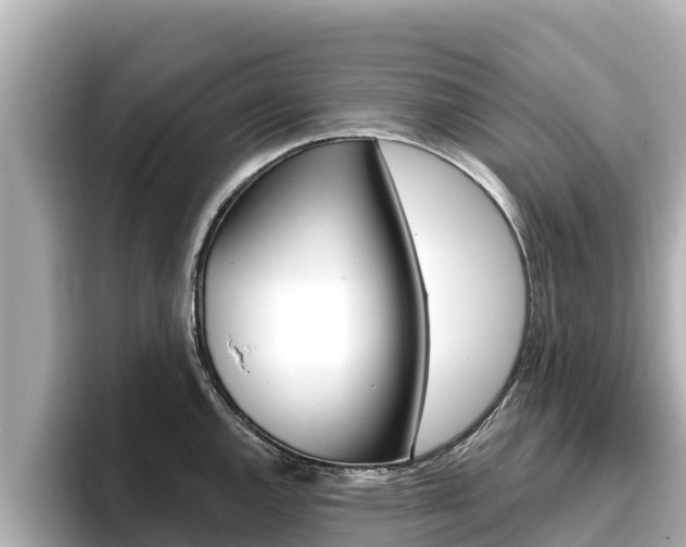 X0000096681144200802051025
