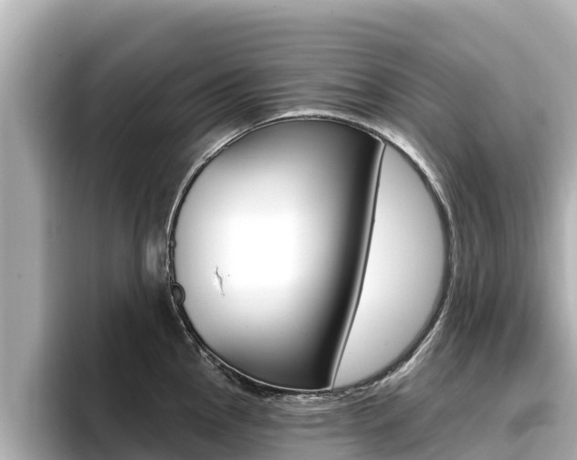 X0000096681145200802051025
