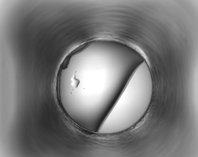 X0000096681146200802051025